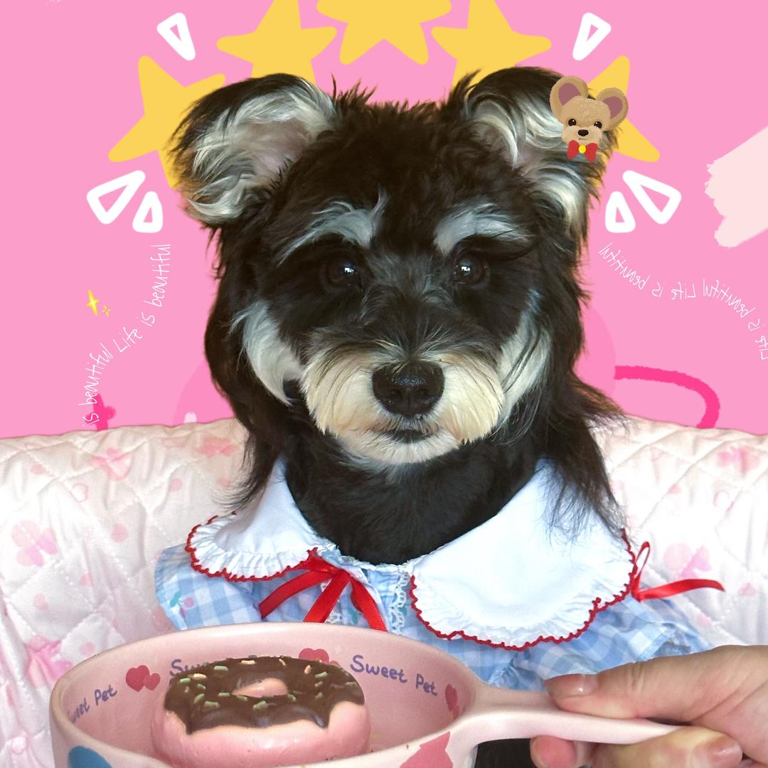 小小冬宝