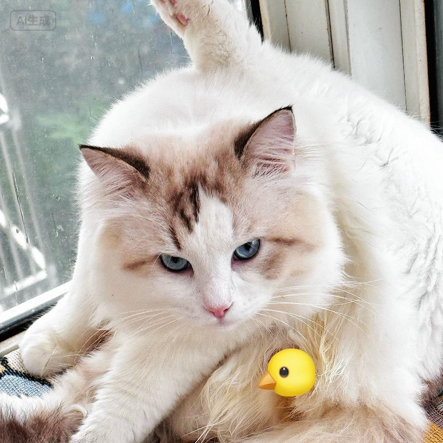 Boss&端午（孕育版）