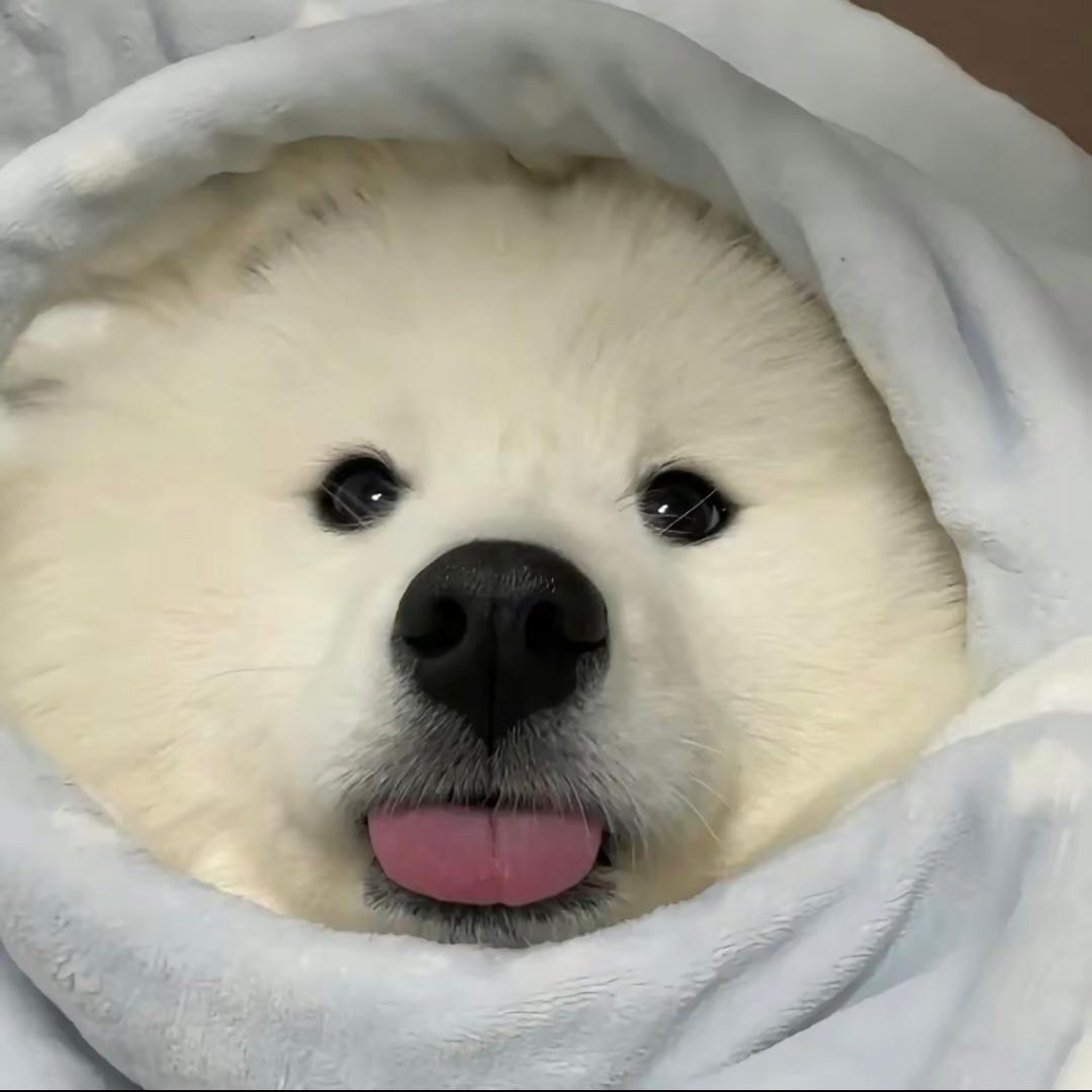谪仙