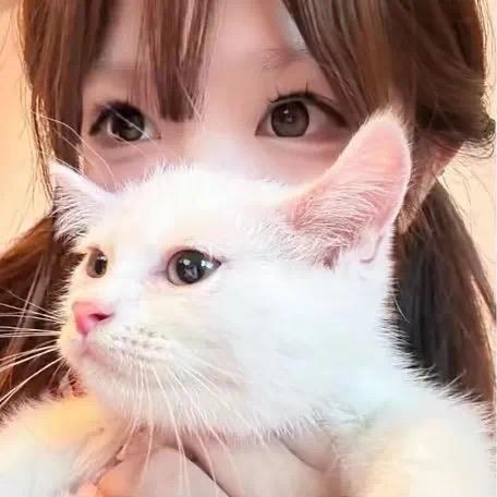没有烦恼q