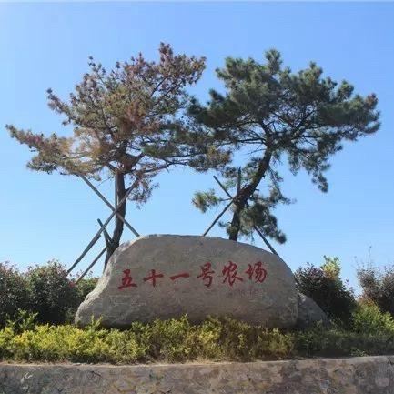 五十一号农场(客服)