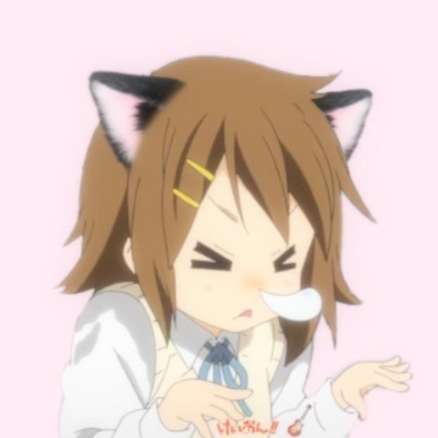 本本