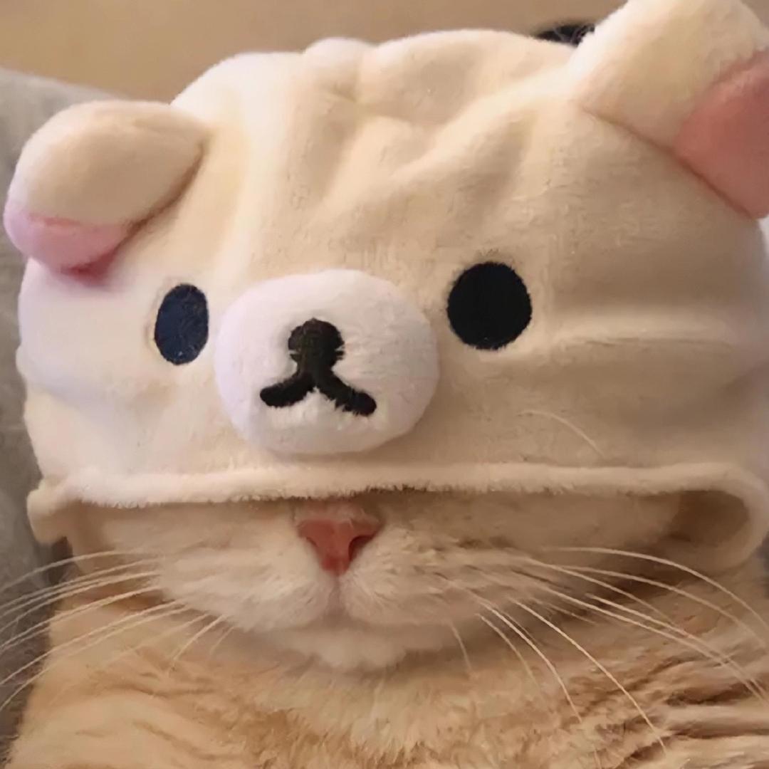江懿y