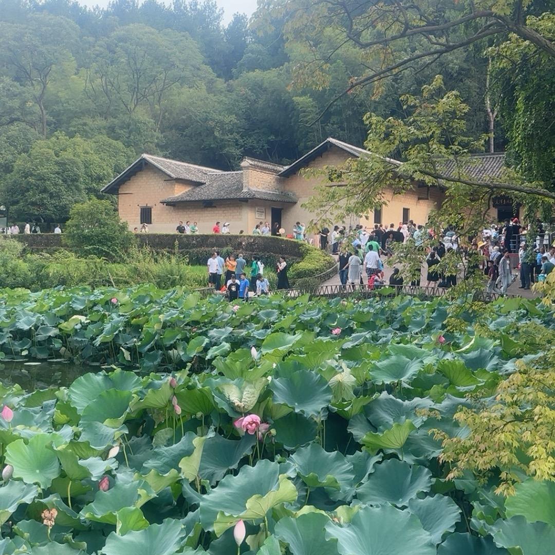 抓羊哥