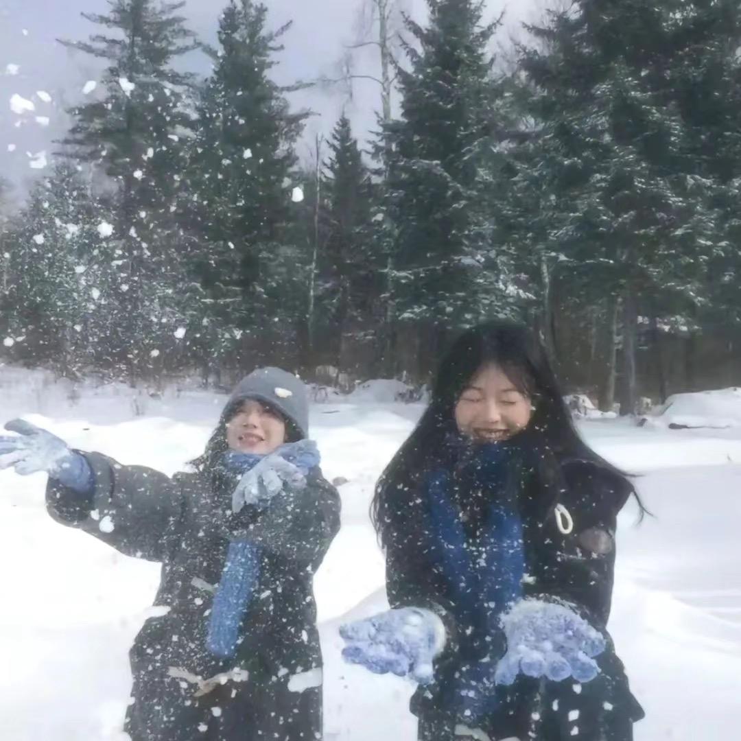 提拉米苏苏