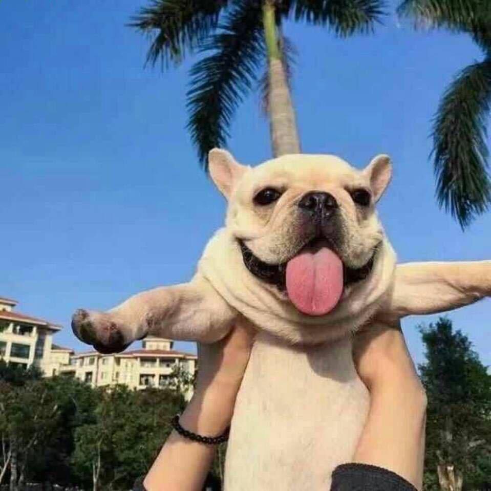 ...