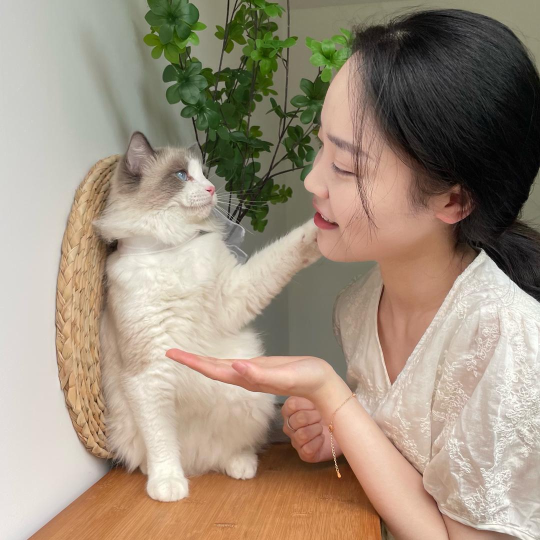 养猫的毛毛老师