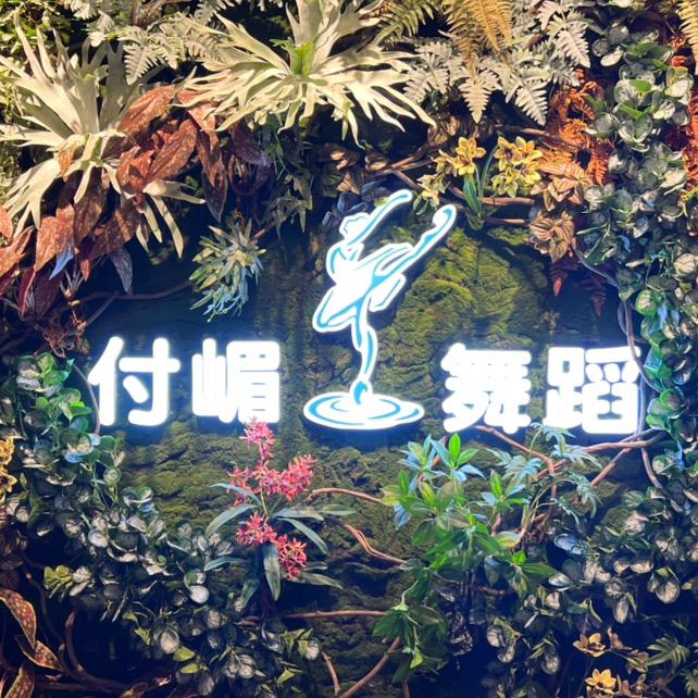 桥西区付嵋舞蹈中心