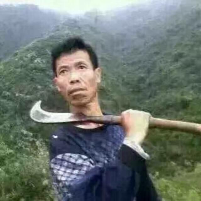壵垚品晶畾