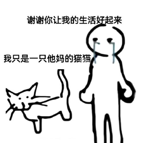 我比虾头更爱坤