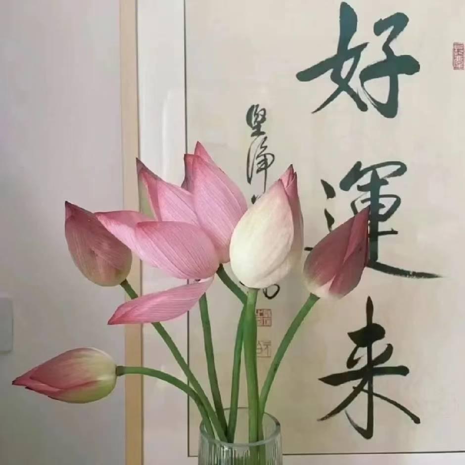 语言的力量