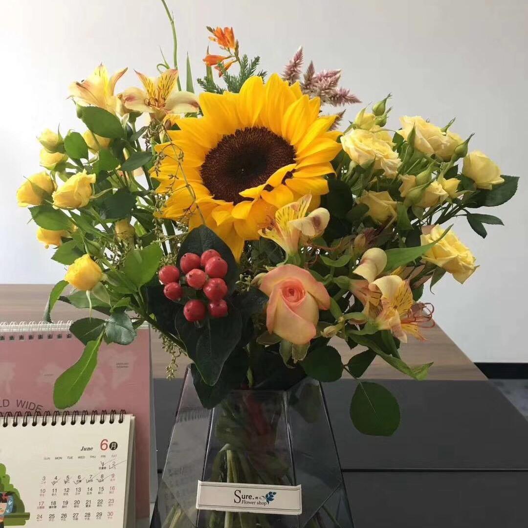 Sunflower娟娟