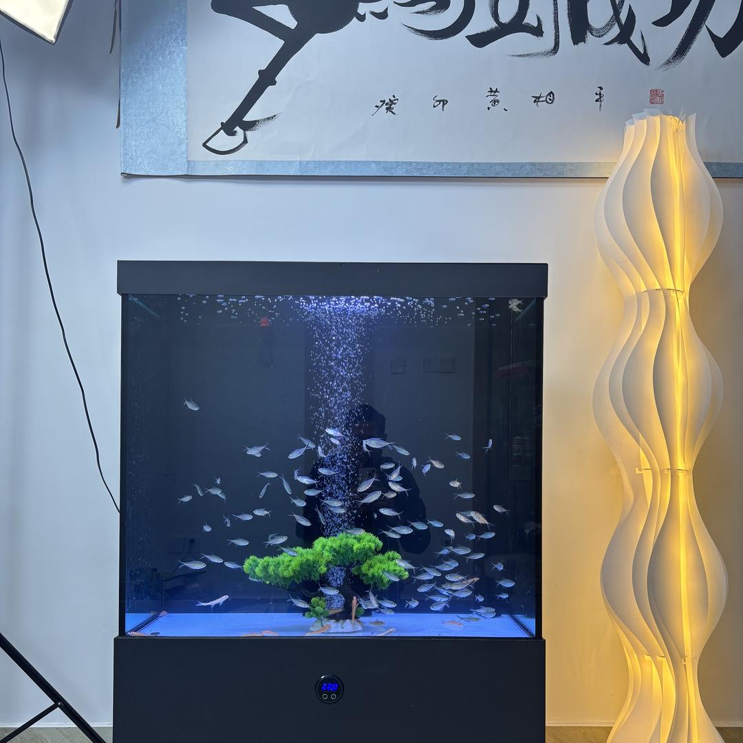 孺子牛鱼缸工厂店