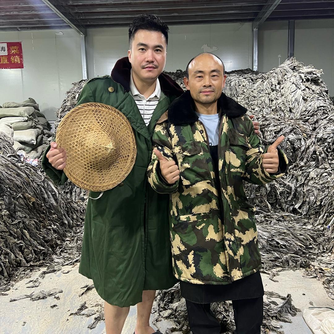 老厂长分享海带