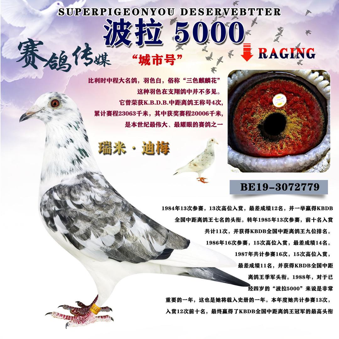 黔中悍将🐦