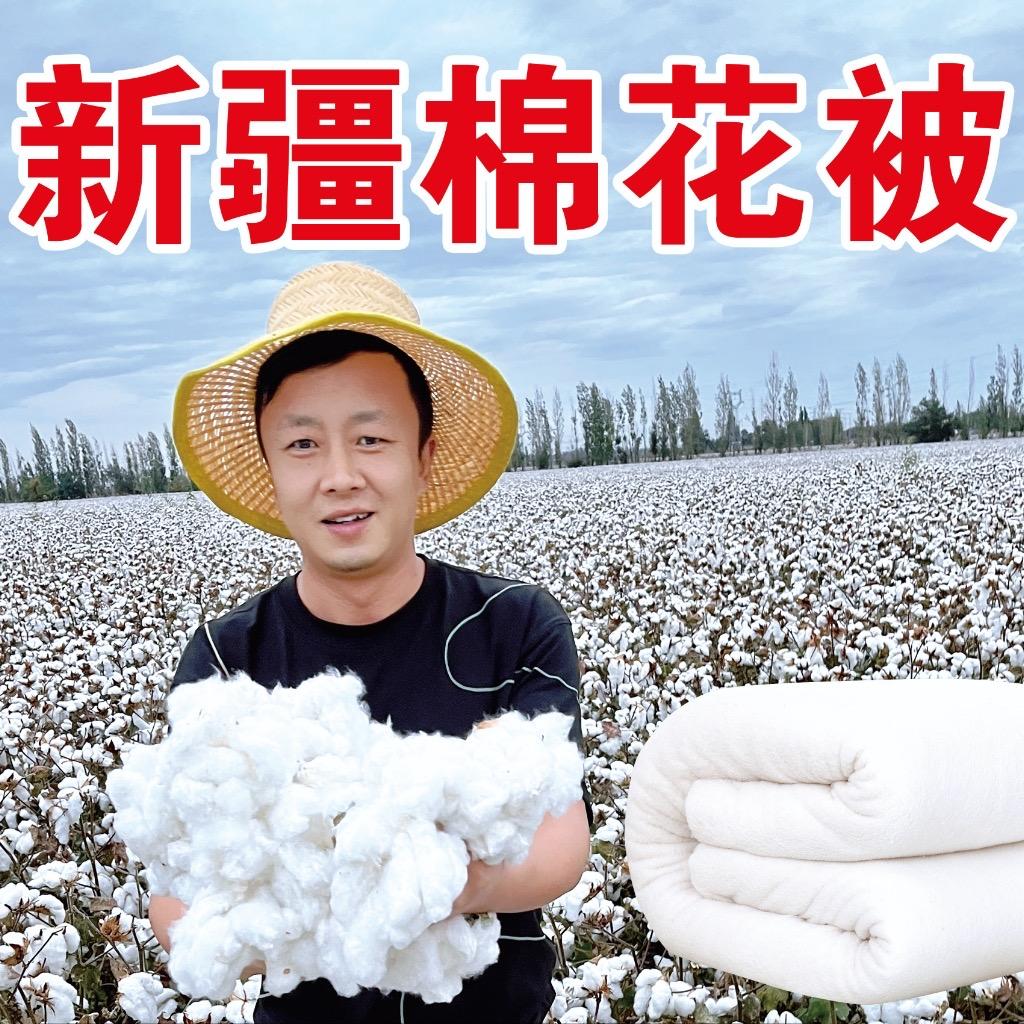 新疆棉花被（福满多家纺）