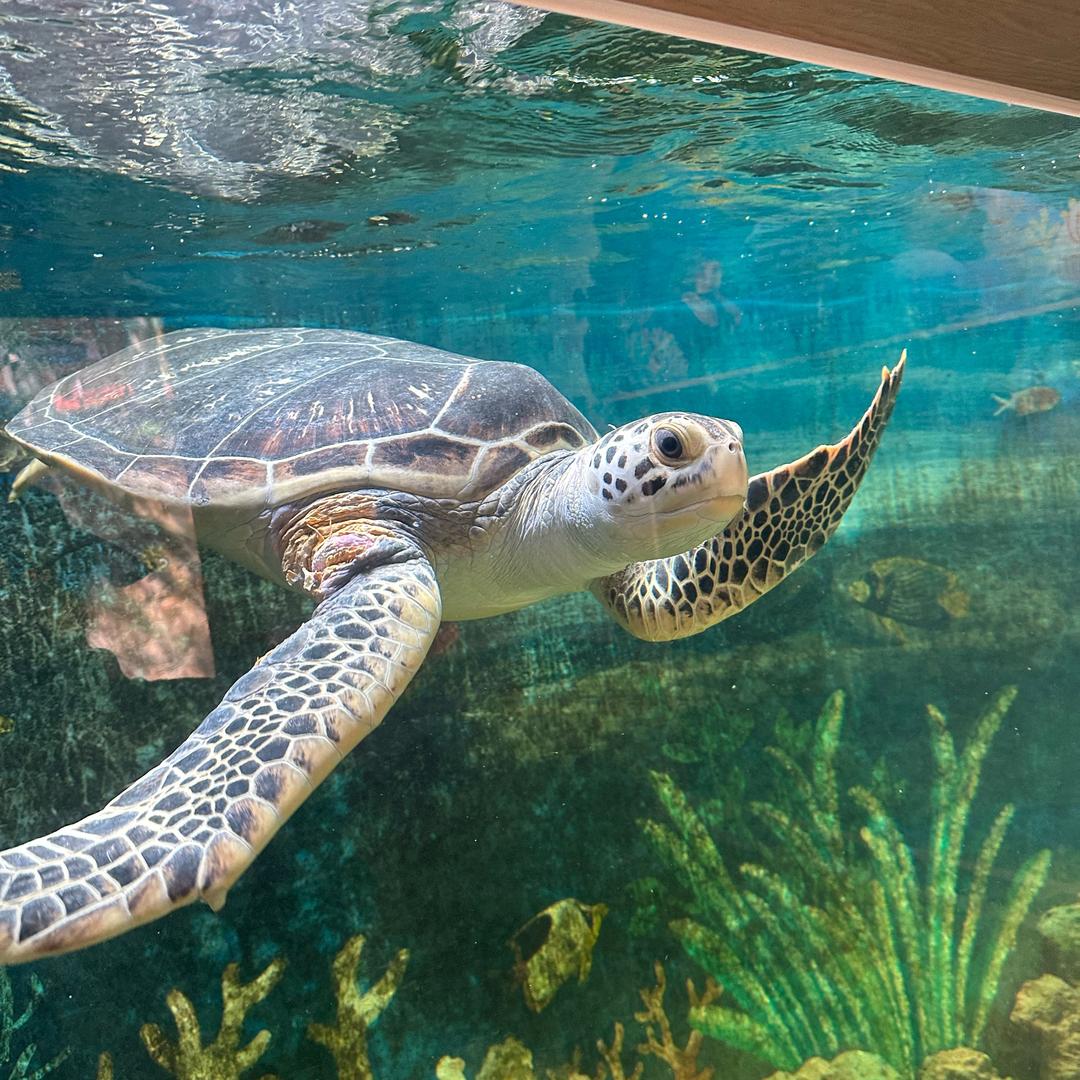 源头