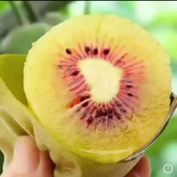 广元瑞亨职业培训学校