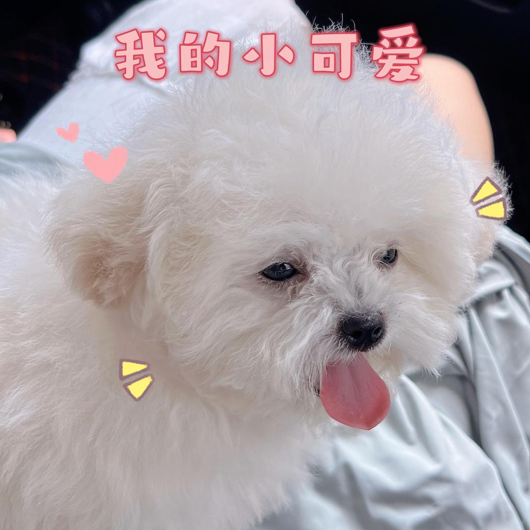 王财财