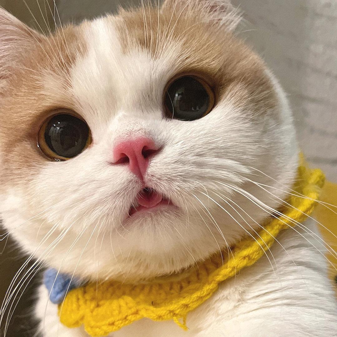 拾壹✨.