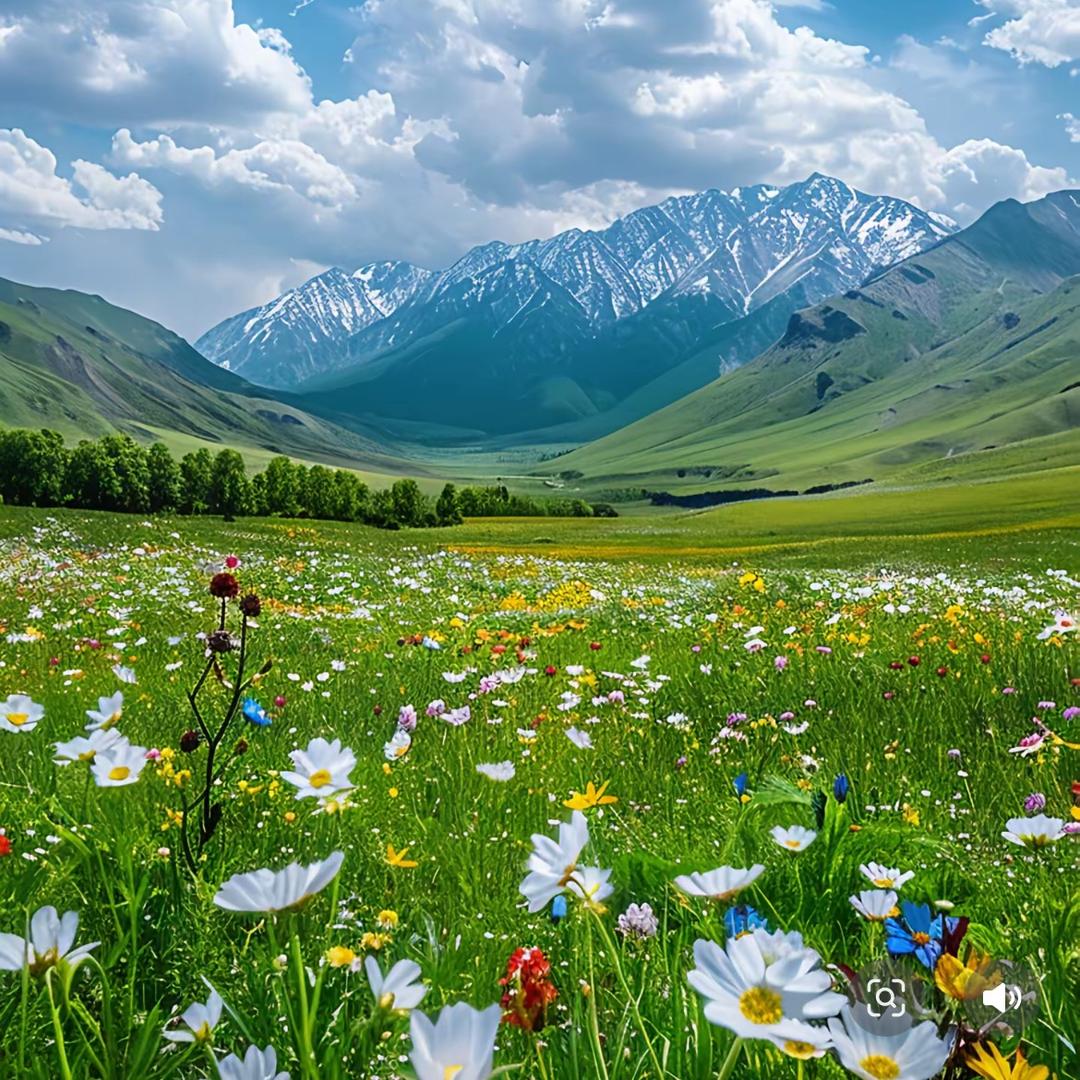 未来风景