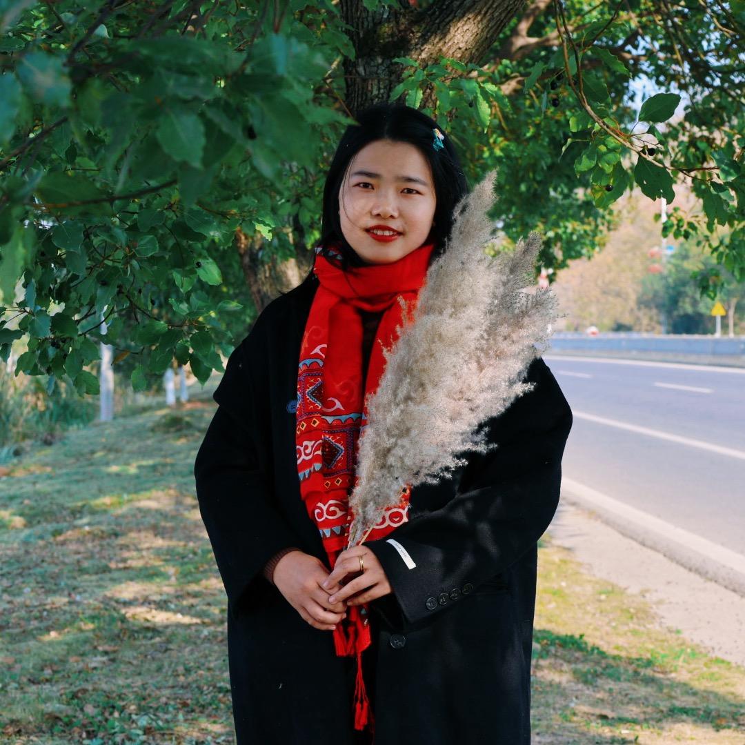 蜡笔小新鑫鑫鑫