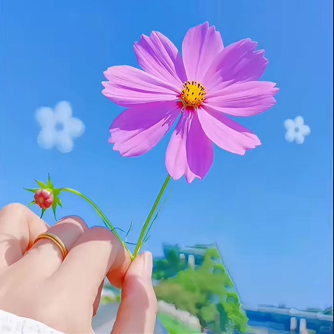 悦已
