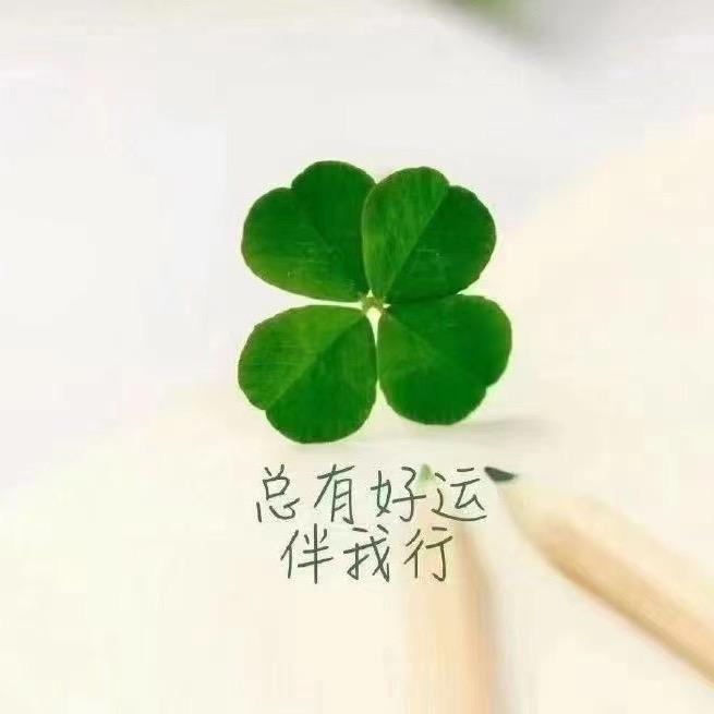 纯 浛🍀