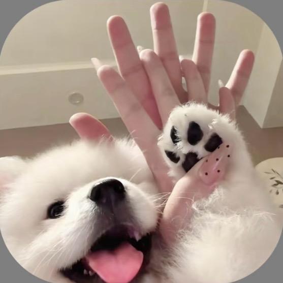 蓝街茶落淮