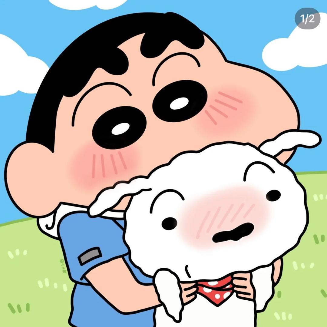 餐餐小灰旺旺小白