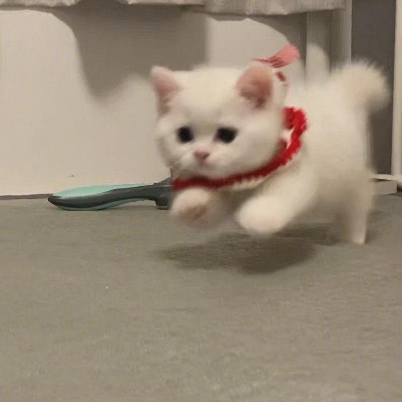 奶思