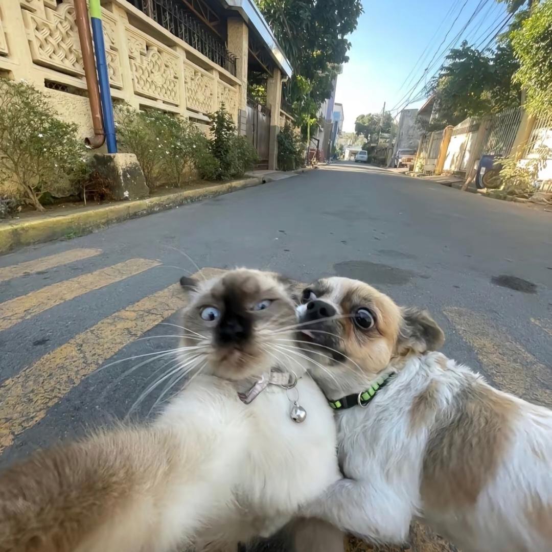 别失眠..