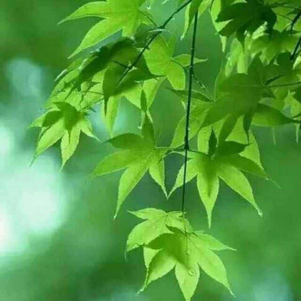 开心快乐每一天