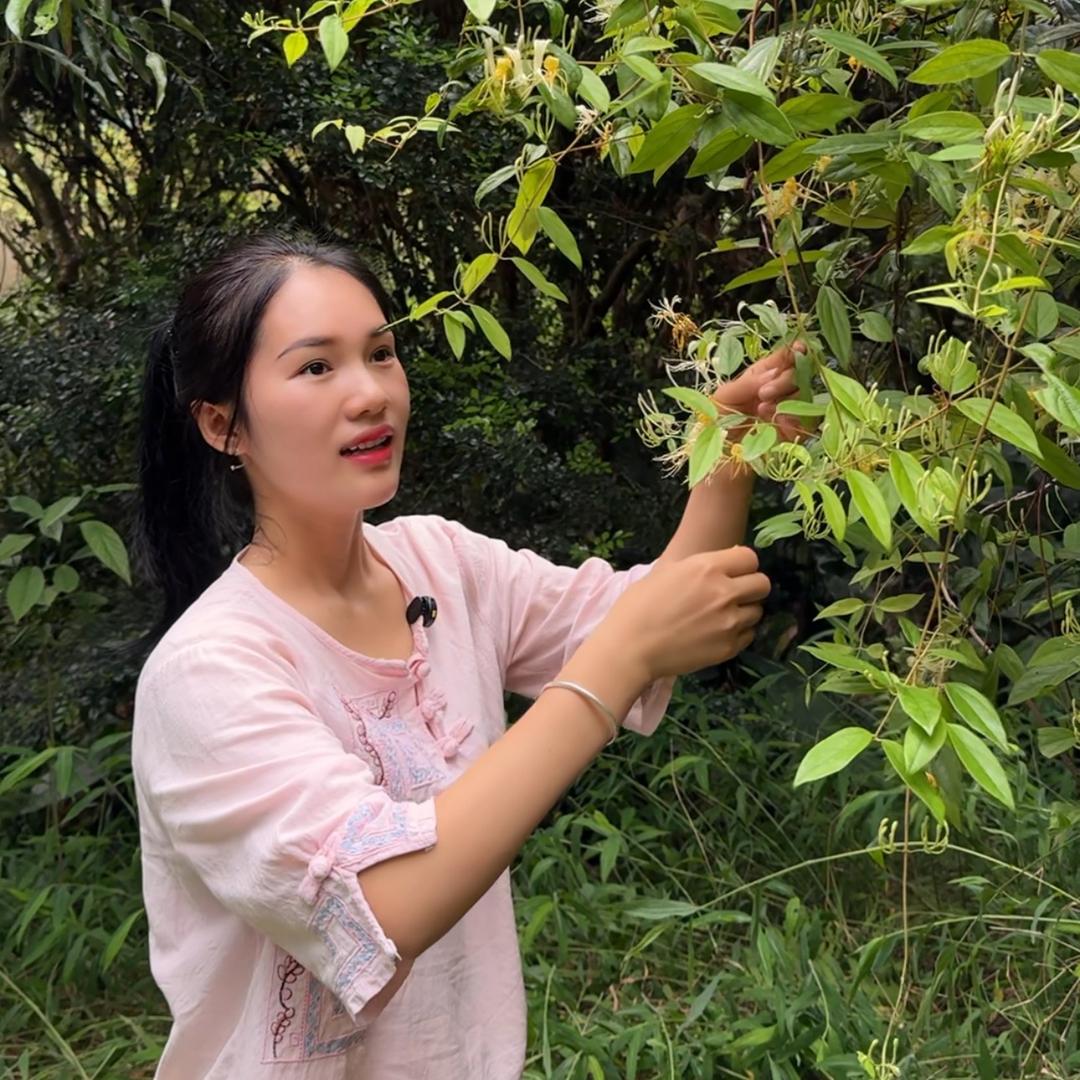 马大哈家的小妮子