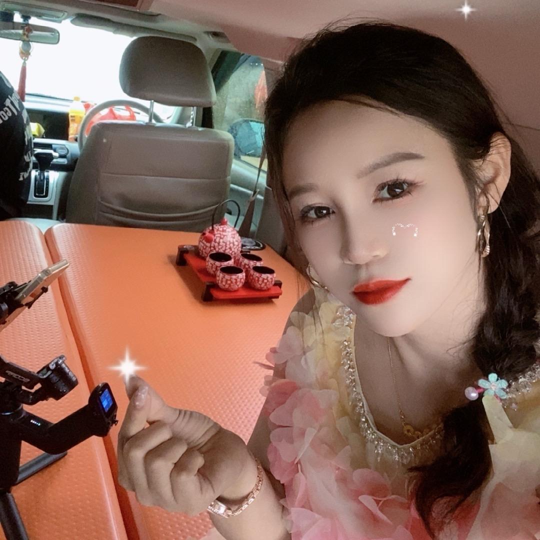 向久游车载拉丝床垫