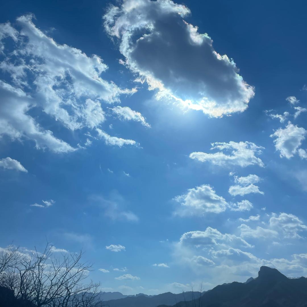 皮卡