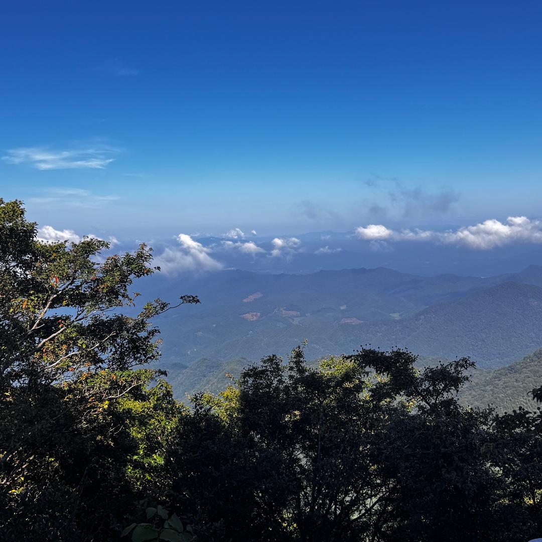 王小明明是吃货