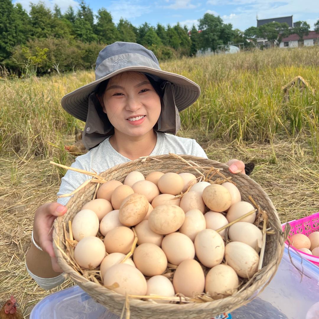 崇明岛虫草土鸡蛋