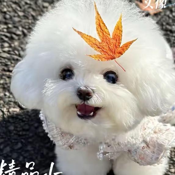 遇见你