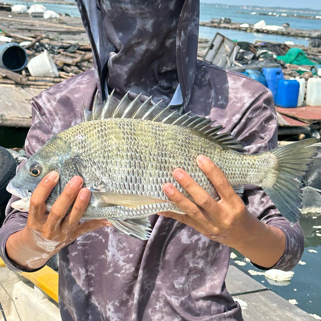 小许海钓🎣《带客》