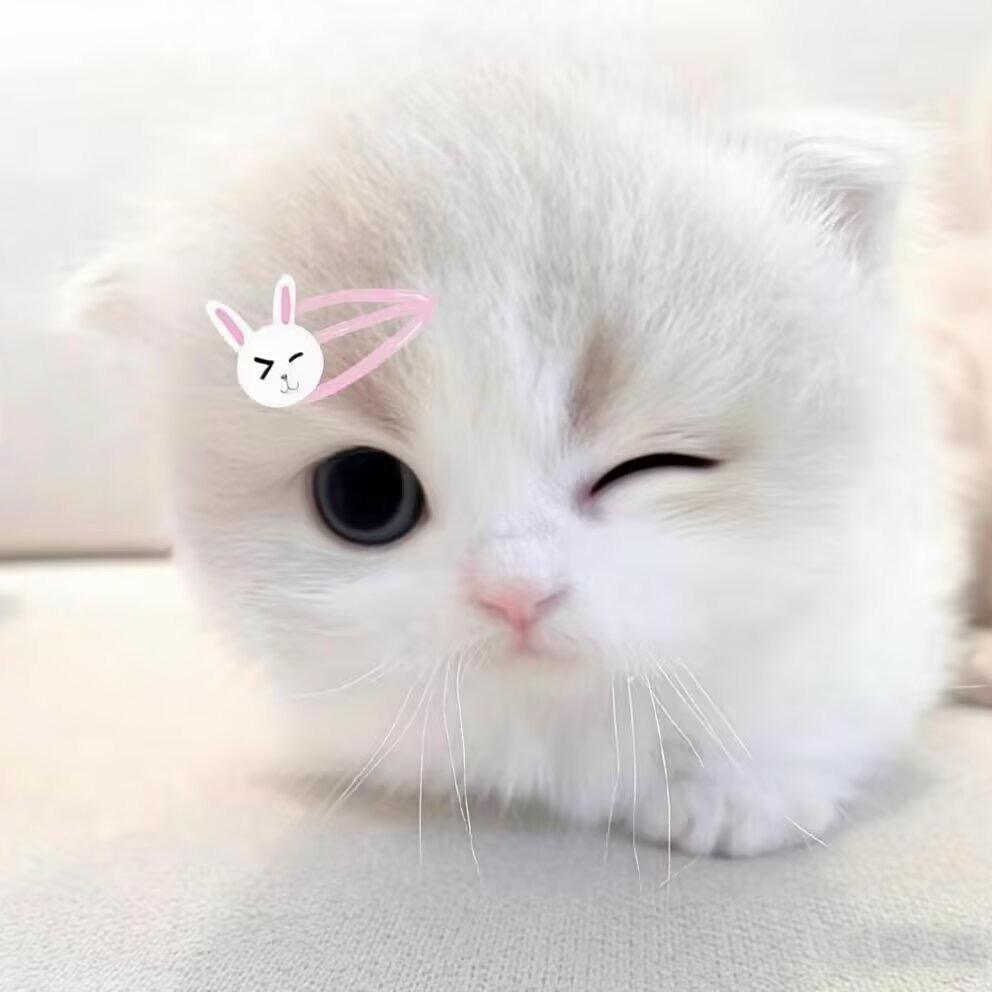 怜