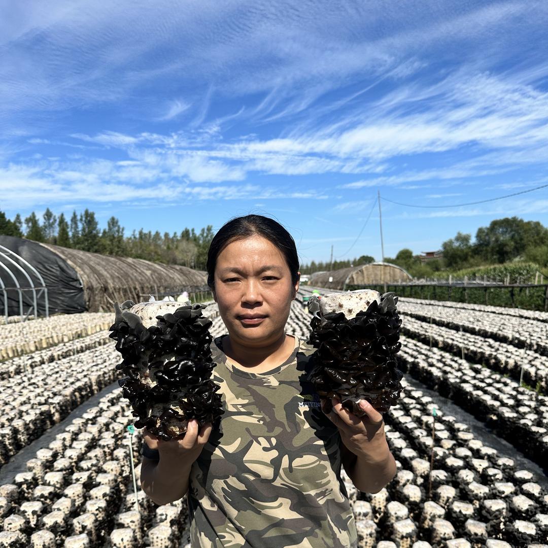 东北妞长白山黑木耳