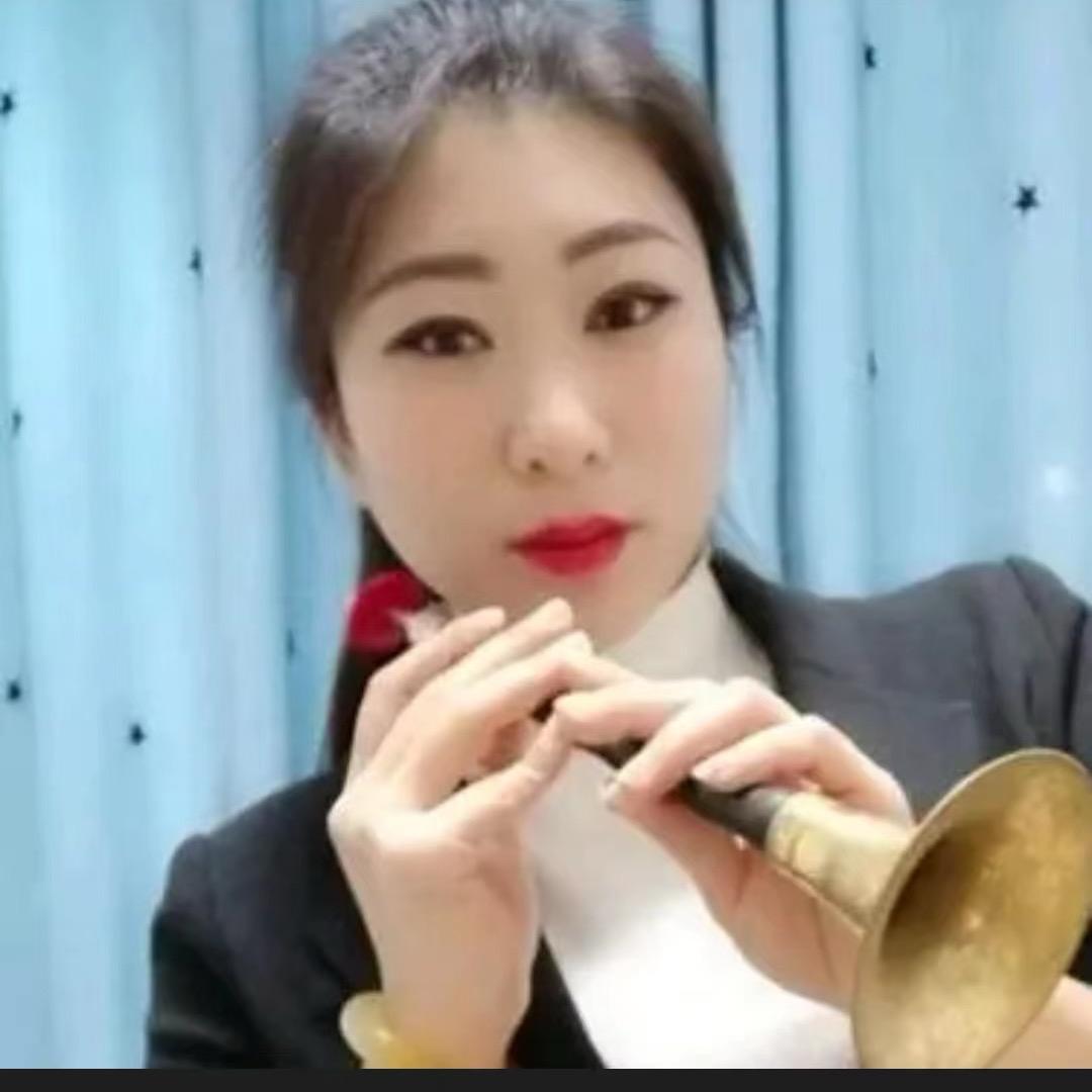 唢呐丹丹