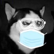 漳浦山湖郡陈烽