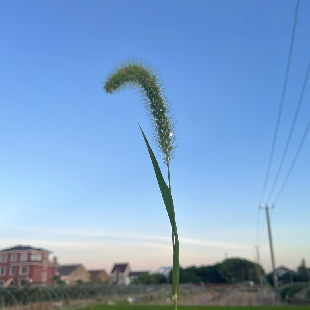 🍀海市🍁蜃楼🍀