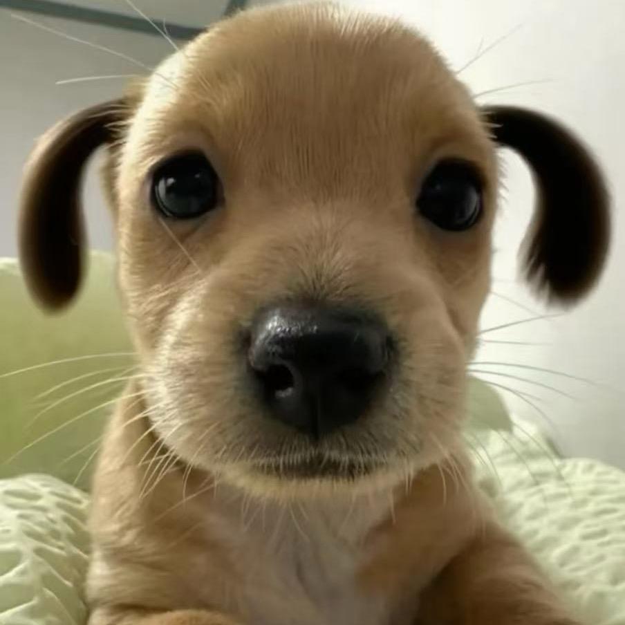 山东最好的人