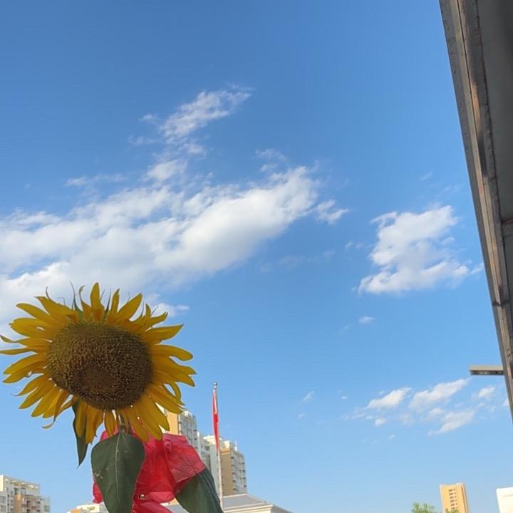 大静吖🦋