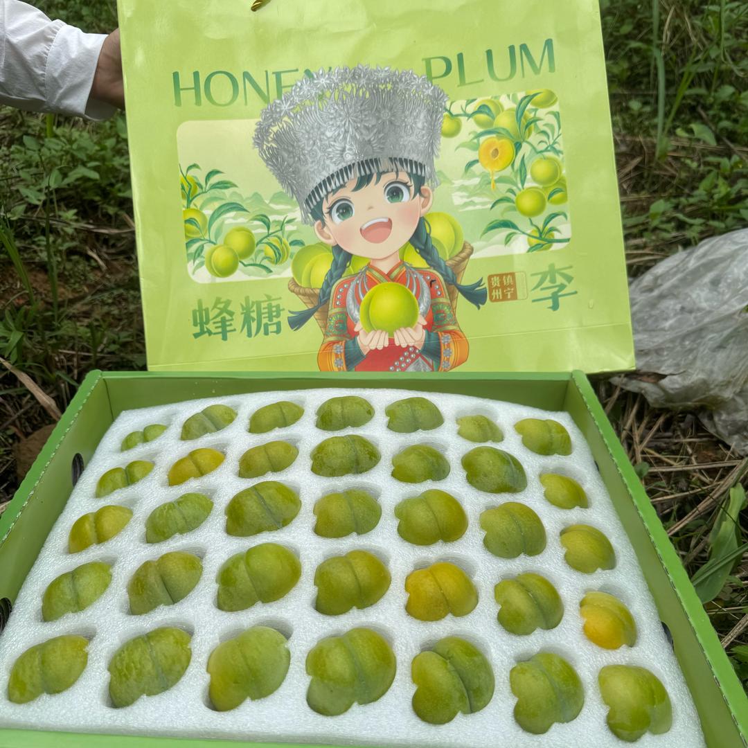 六马“蜂糖李”