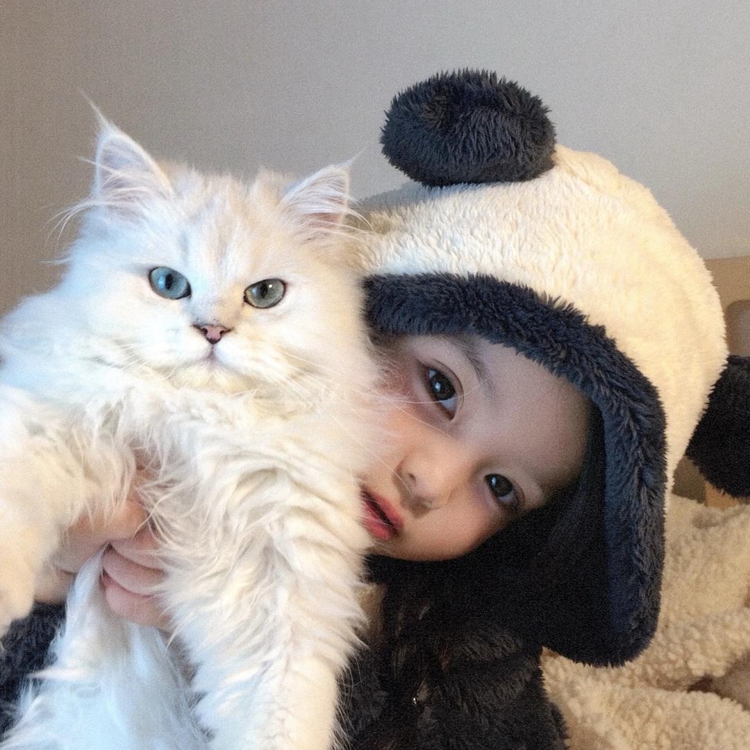 旺崽的养猫日记