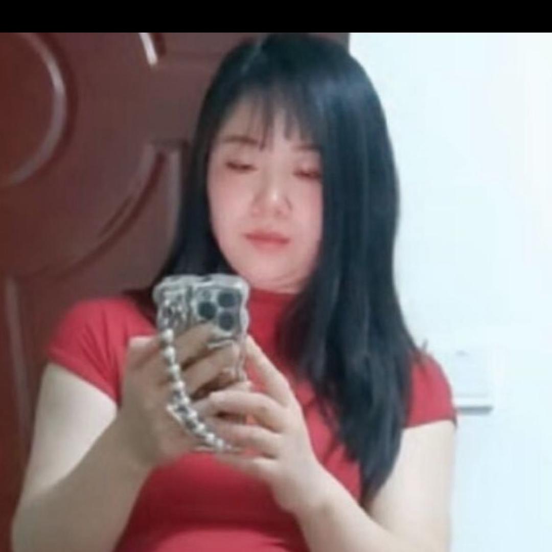 哈笼宝
